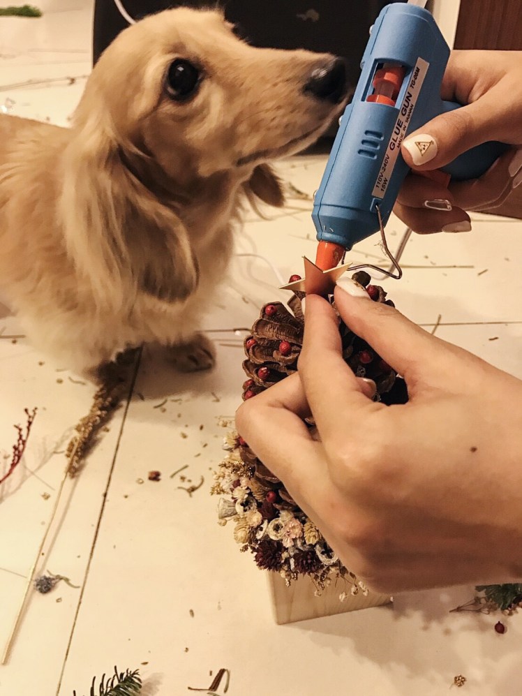 Processed with VSCO with hb1 preset