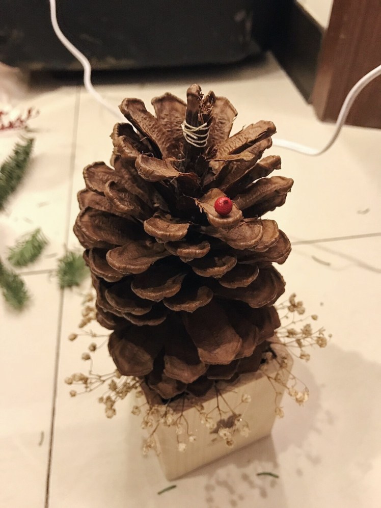 Processed with VSCO with hb1 preset