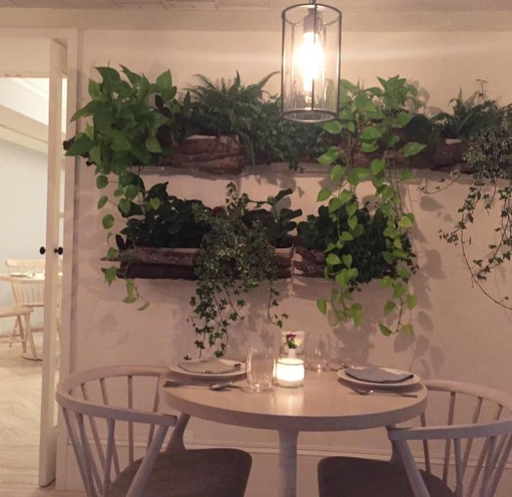 17760215_1446999552018421_7324679635043882817_n