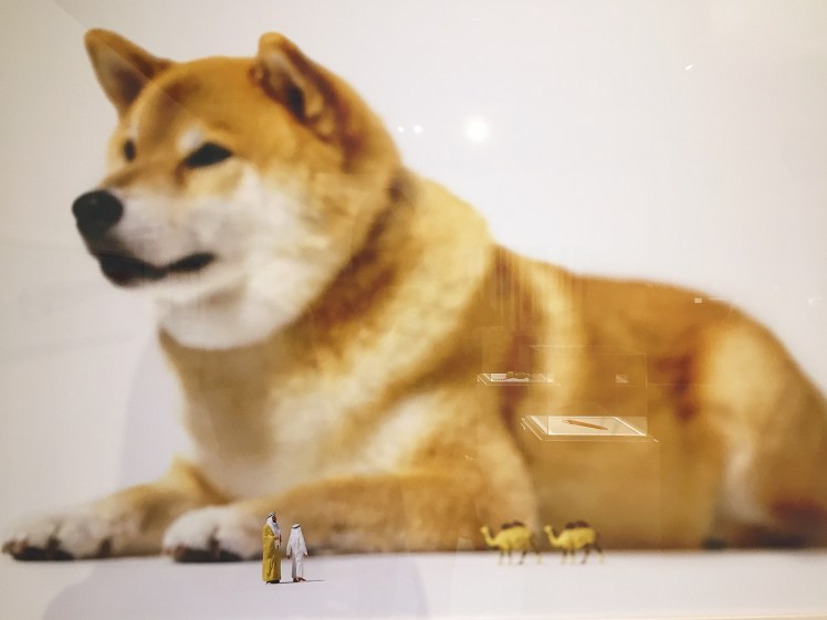 Processed with VSCO with hb1 preset